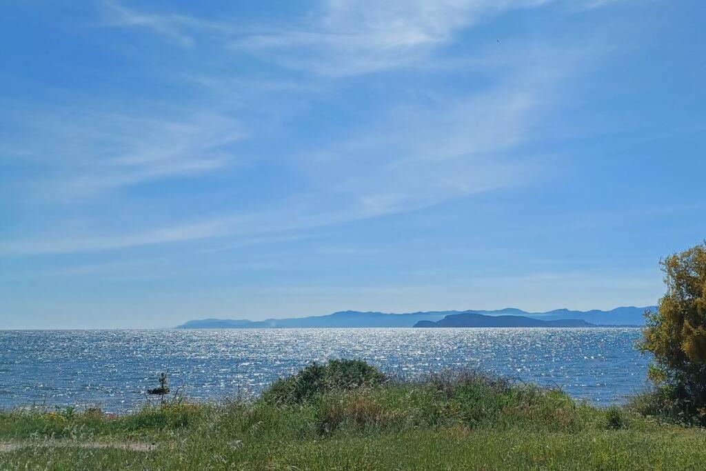 Appartamento Sul Mare Su Forti 外观 照片